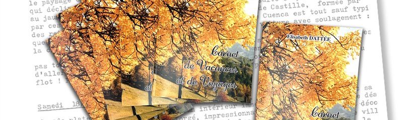 Edition de livres : romans, autobiographie, livres historiques, etc.